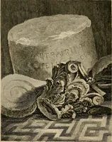 Picture 3 of 82 from The antiquarian itinerary, comprising specimens of architecture, monastic, castellated, and domestic; with other vestiges of antiquity in Great Britain. Accompanied with descriptions (1815), leaf 13