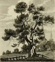 Picture 20 of 86 from The antiquarian itinerary, comprising specimens of architecture, monastic, castellated, and domestic; with other vestiges of antiquity in Great Britain. Accompanied with descriptions (1815), leaf 47