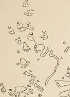 Picture 28 of 130 from The Antiquarian [serial] (1897), leaf 102