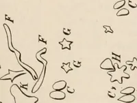 Picture 29 of 130 from The Antiquarian [serial] (1897), leaf 102