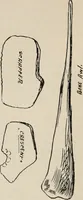 Picture 35 of 130 from The Antiquarian [serial] (1897), leaf 137