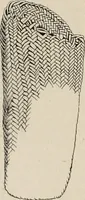 An illustration from The Antiquarian [serial] (1897)