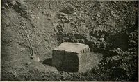 An illustration from The Antiquarian [serial] (1897)