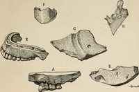 An illustration from The Antiquarian [serial] (1897)