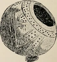 Picture 2 of 130 from The Antiquarian [serial] (1897), leaf 17