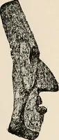 An illustration from The Antiquarian [serial] (1897)