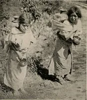 An illustration from The Antiquarian [serial] (1897)
