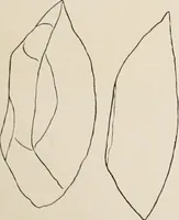 An illustration from The Antiquarian [serial] (1897)