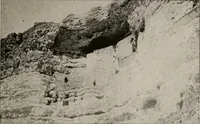 Picture 83 of 130 from The Antiquarian [serial] (1897), leaf 236