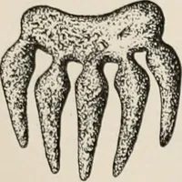 Picture 88 of 130 from The Antiquarian [serial] (1897), leaf 250