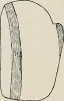 An illustration from The Antiquarian [serial] (1897)