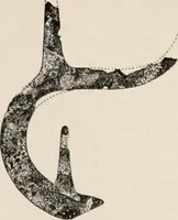 An illustration from The Antiquarian [serial] (1897)