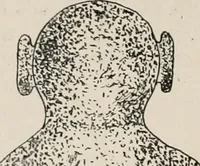 Picture 106 of 130 from The Antiquarian [serial] (1897), leaf 269