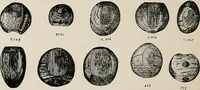 Picture 113 of 130 from The Antiquarian [serial] (1897), leaf 287
