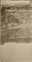 Picture 115 of 130 from The Antiquarian [serial] (1897), leaf 292