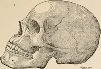 An illustration from The Antiquarian [serial] (1897)