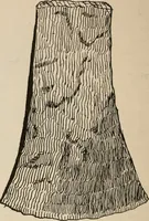 An illustration from The Antiquarian [serial] (1897)