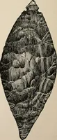 An illustration from The Antiquarian [serial] (1897)