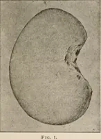 Picture 24 of 130 from The Antiquarian [serial] (1897), leaf 76
