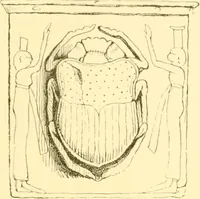 Picture 43 of 414 from Antique gems and rings (1872), leaf 102