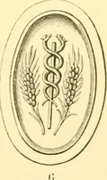 An illustration from Antique gems and rings (1872)