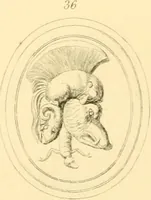 Picture 401 of 414 from Antique gems and rings (1872), leaf 226
