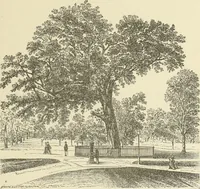 An illustration from Antique views of ye towne of Boston (1882)