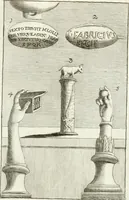 Picture 35 of 195 from Antiquitatis reliquiae a marchione Jacobo Musellio collectae, tabulis incisae et brevisibus explicationibus illustratae (1756), leaf 118