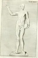 Picture 43 of 195 from Antiquitatis reliquiae a marchione Jacobo Musellio collectae, tabulis incisae et brevisibus explicationibus illustratae (1756), leaf 134