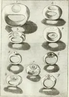 Picture 57 of 195 from Antiquitatis reliquiae a marchione Jacobo Musellio collectae, tabulis incisae et brevisibus explicationibus illustratae (1756), leaf 162