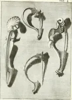 Picture 62 of 195 from Antiquitatis reliquiae a marchione Jacobo Musellio collectae, tabulis incisae et brevisibus explicationibus illustratae (1756), leaf 172