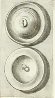 Picture 68 of 195 from Antiquitatis reliquiae a marchione Jacobo Musellio collectae, tabulis incisae et brevisibus explicationibus illustratae (1756), leaf 184