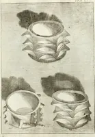 An illustration from Antiquitatis reliquiae a marchione Jacobo Musellio collectae, tabulis incisae et brevisibus explicationibus illustratae (1756)