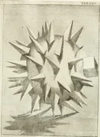 Picture 76 of 195 from Antiquitatis reliquiae a marchione Jacobo Musellio collectae, tabulis incisae et brevisibus explicationibus illustratae (1756), leaf 200