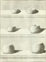 Picture 78 of 195 from Antiquitatis reliquiae a marchione Jacobo Musellio collectae, tabulis incisae et brevisibus explicationibus illustratae (1756), leaf 204