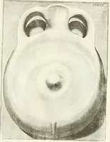 Picture 114 of 195 from Antiquitatis reliquiae a marchione Jacobo Musellio collectae, tabulis incisae et brevisibus explicationibus illustratae (1756), leaf 276