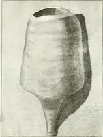An illustration from Antiquitatis reliquiae a marchione Jacobo Musellio collectae, tabulis incisae et brevisibus explicationibus illustratae (1756)