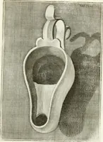 An illustration from Antiquitatis reliquiae a marchione Jacobo Musellio collectae, tabulis incisae et brevisibus explicationibus illustratae (1756)