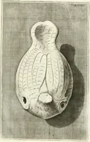 Picture 187 of 195 from Antiquitatis reliquiae a marchione Jacobo Musellio collectae, tabulis incisae et brevisibus explicationibus illustratae (1756), leaf 426