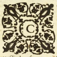 An illustration from Antiquitatum Etruriae, seu, De situ Clanarum fragmenta historica : deque rebus faeliciter gestis civitatis Aretinae, Clusinae, ac Cortonensis cum Senensibus, Florentinis, exterisque (1696)