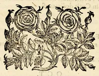 An illustration from Antiquitatum romanarum (1581)