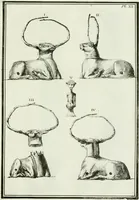 Picture 35 of 172 from Recueil d'antiquités egyptiennes, etrusques, grecques et romaines (1756), leaf 466