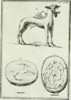 An illustration from Recueil d'antiquités egyptiennes, etrusques, grecques et romaines (1756)