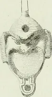An illustration from Recueil d'antiquités egyptiennes, etrusques, grecques et romaines (1756)