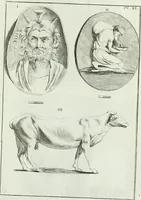 An illustration from Recueil d'antiquités egyptiennes, etrusques, grecques et romaines (1756)
