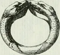 An illustration from Recueil d'antiquités egyptiennes, etrusques, grecques et romaines (1756)