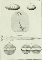 Picture 127 of 172 from Recueil d'antiquités egyptiennes, etrusques, grecques et romaines (1756), leaf 634