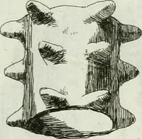 An illustration from Recueil d'antiquités egyptiennes, etrusques, grecques et romaines (1756)