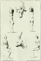 An illustration from Recueil d'antiquités egyptiennes, etrusques, grecques et romaines (1756)