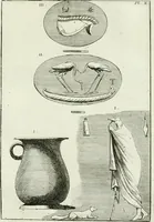 Picture 28 of 175 from Recueil d'antiquités egyptiennes, etrusques, grecques et romaines (1756), leaf 510